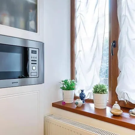 Apartament Luxury Flat In Center *